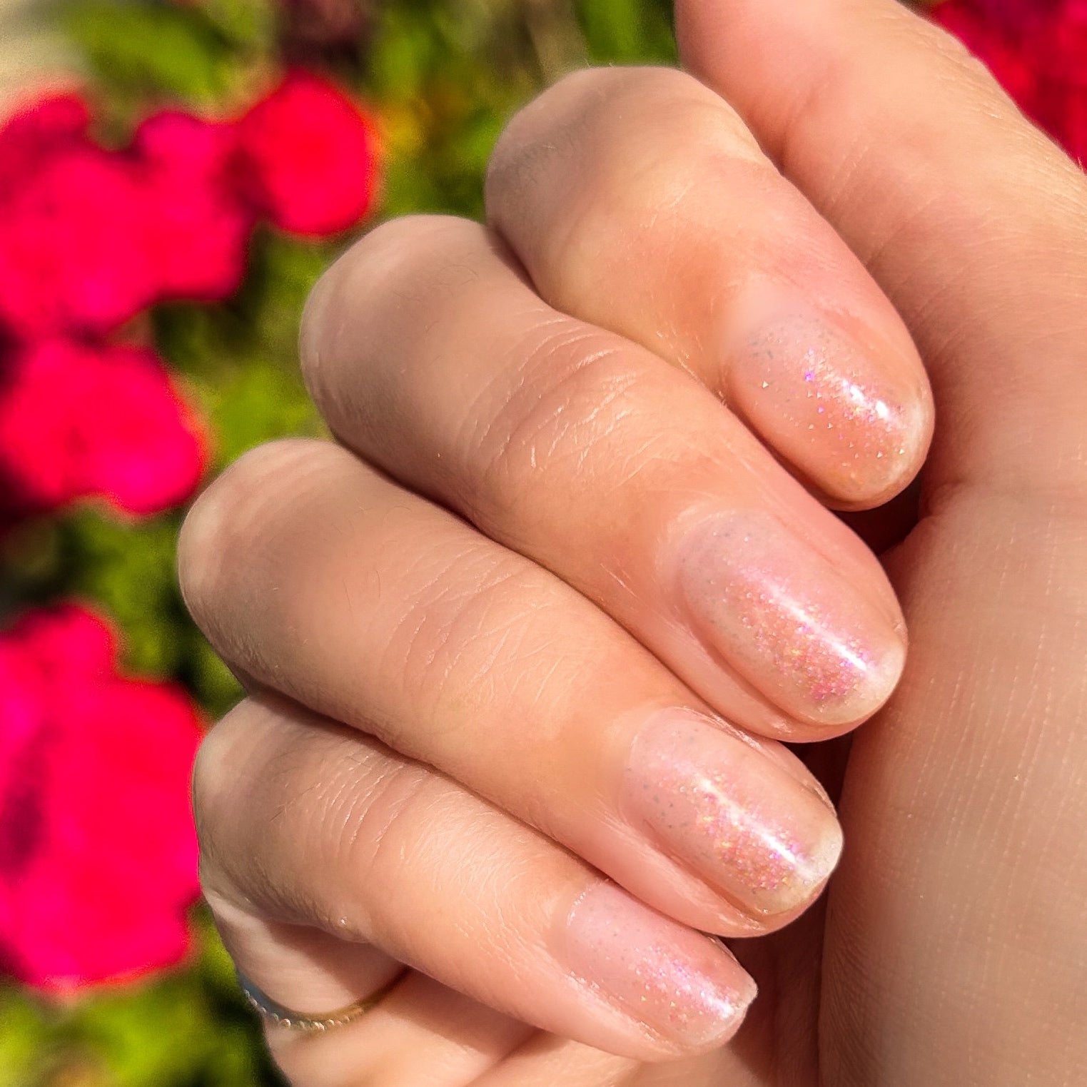 Starshower、mySite、solidvoid