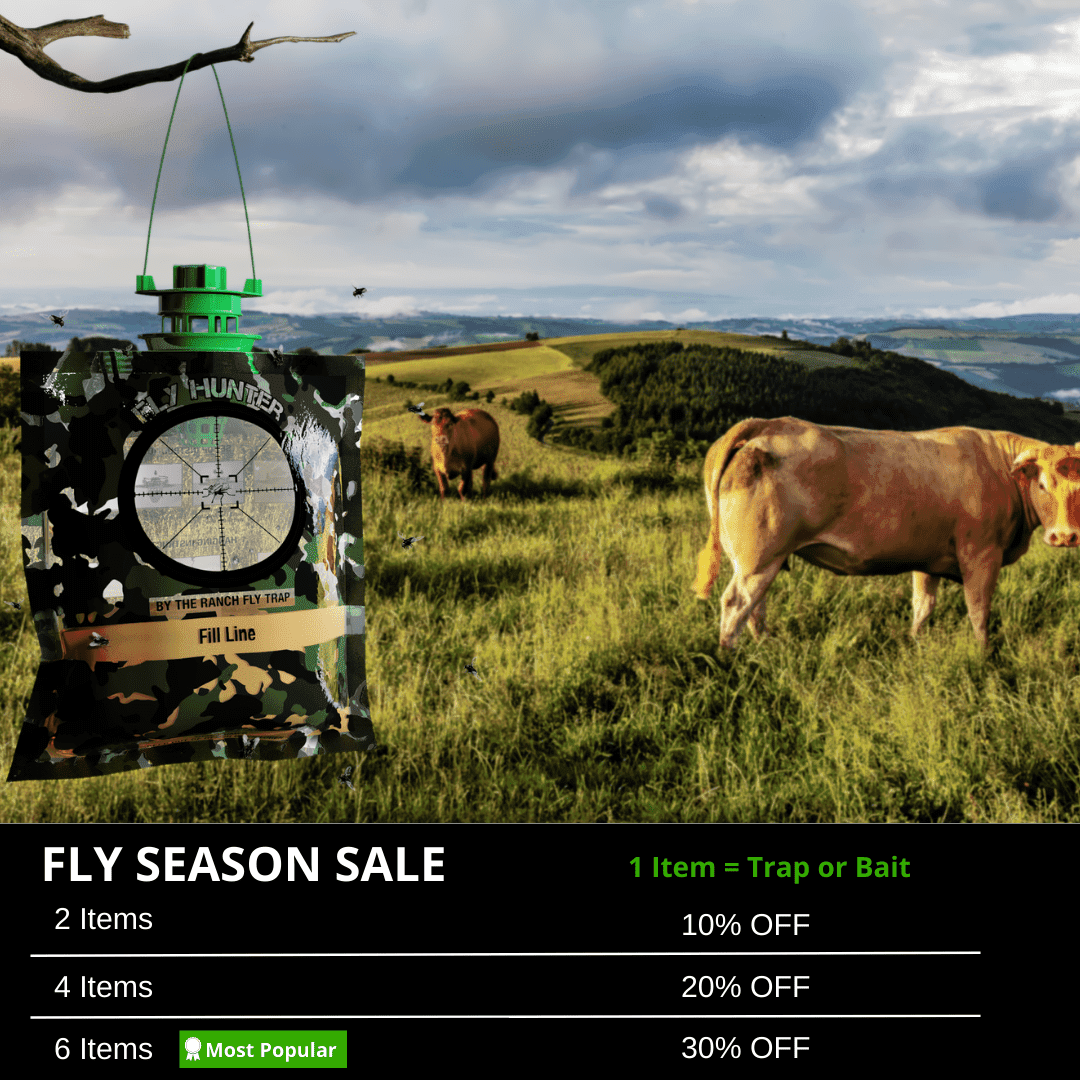 Fly Hunter.、mySite、lovesweatpilates