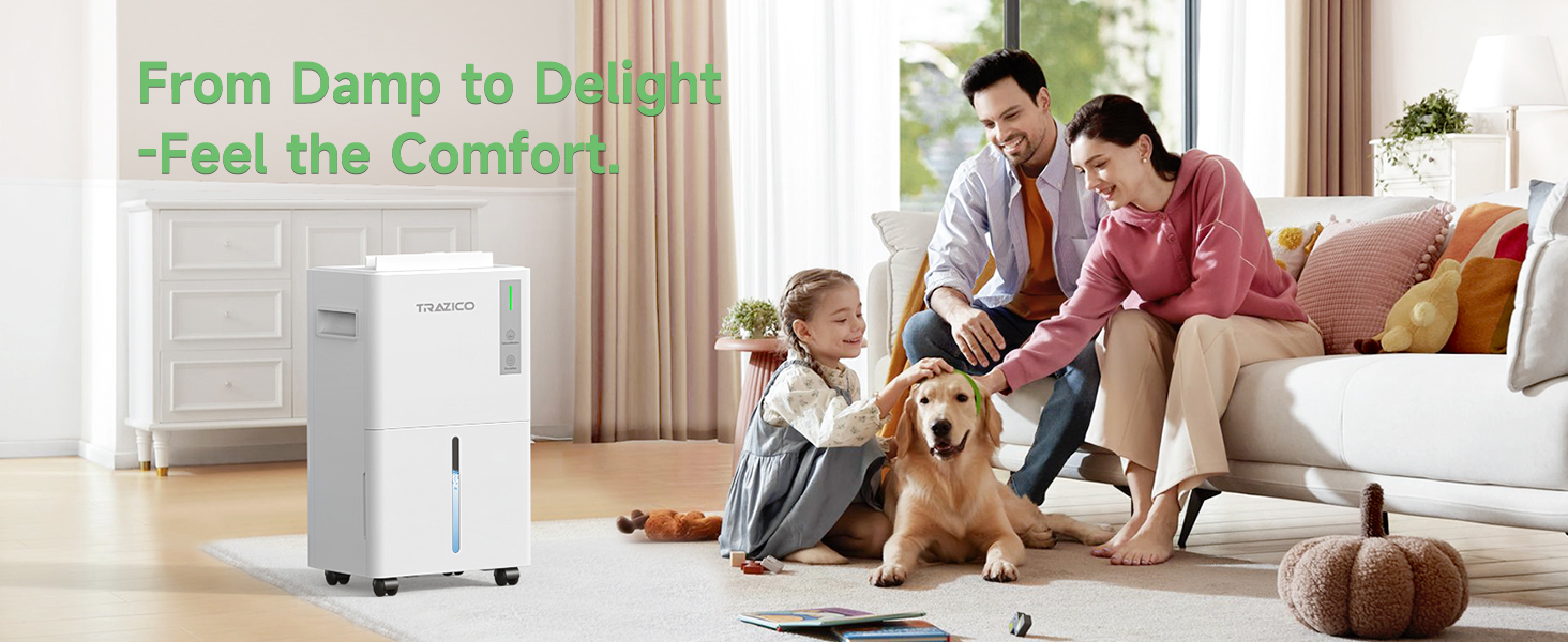 high-performance home dehumidifier