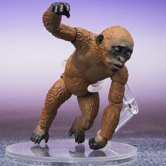 S.H. MonsterArts Godzilla x Kong: The New Empire Suko & Mothra (2024)、mySite、hgirdovlk