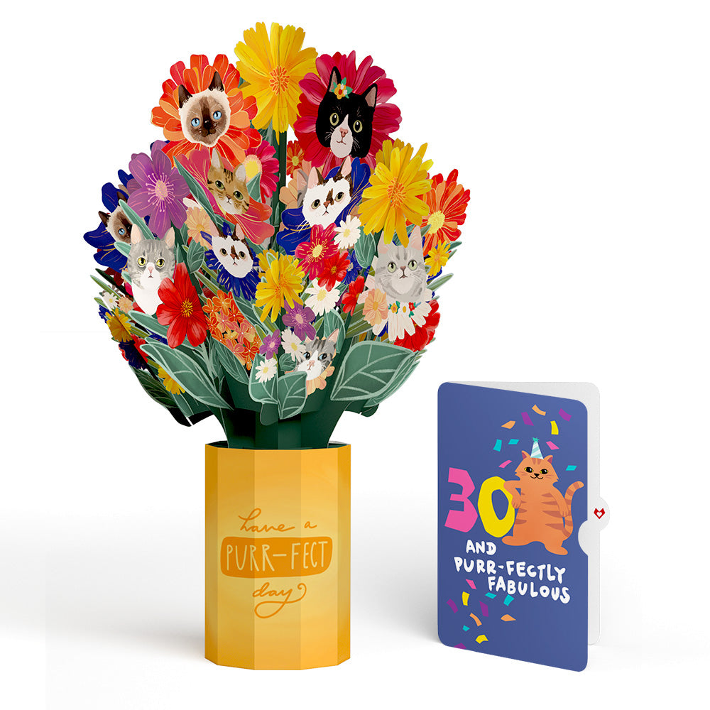 Purr-fect Cat 30th Birthday Bouquet and Sentiment Set、mySite、solidvoid