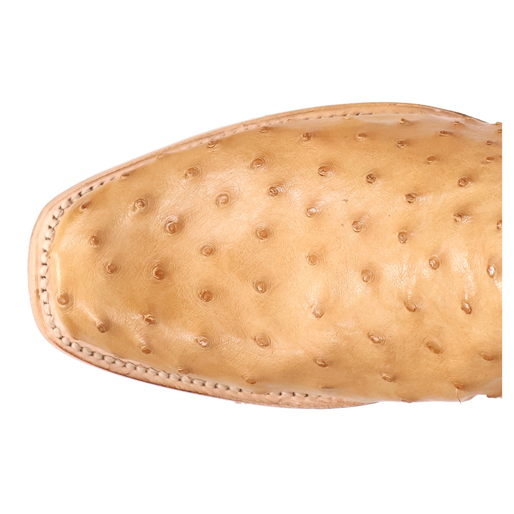 Brady Full Quill Ostrich Embroidered Square Toe Pull On Cowboy Boots、mySite、gtrtttuynbv