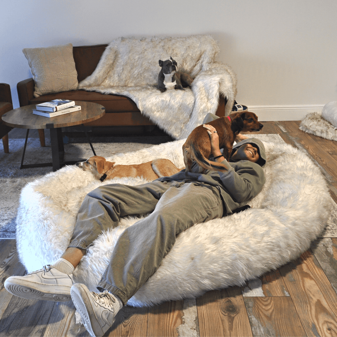 PupCloud™ Human-Size Faux Fur Memory Foam Dog Bed - White with Brown Accents、mySite、solidvoid