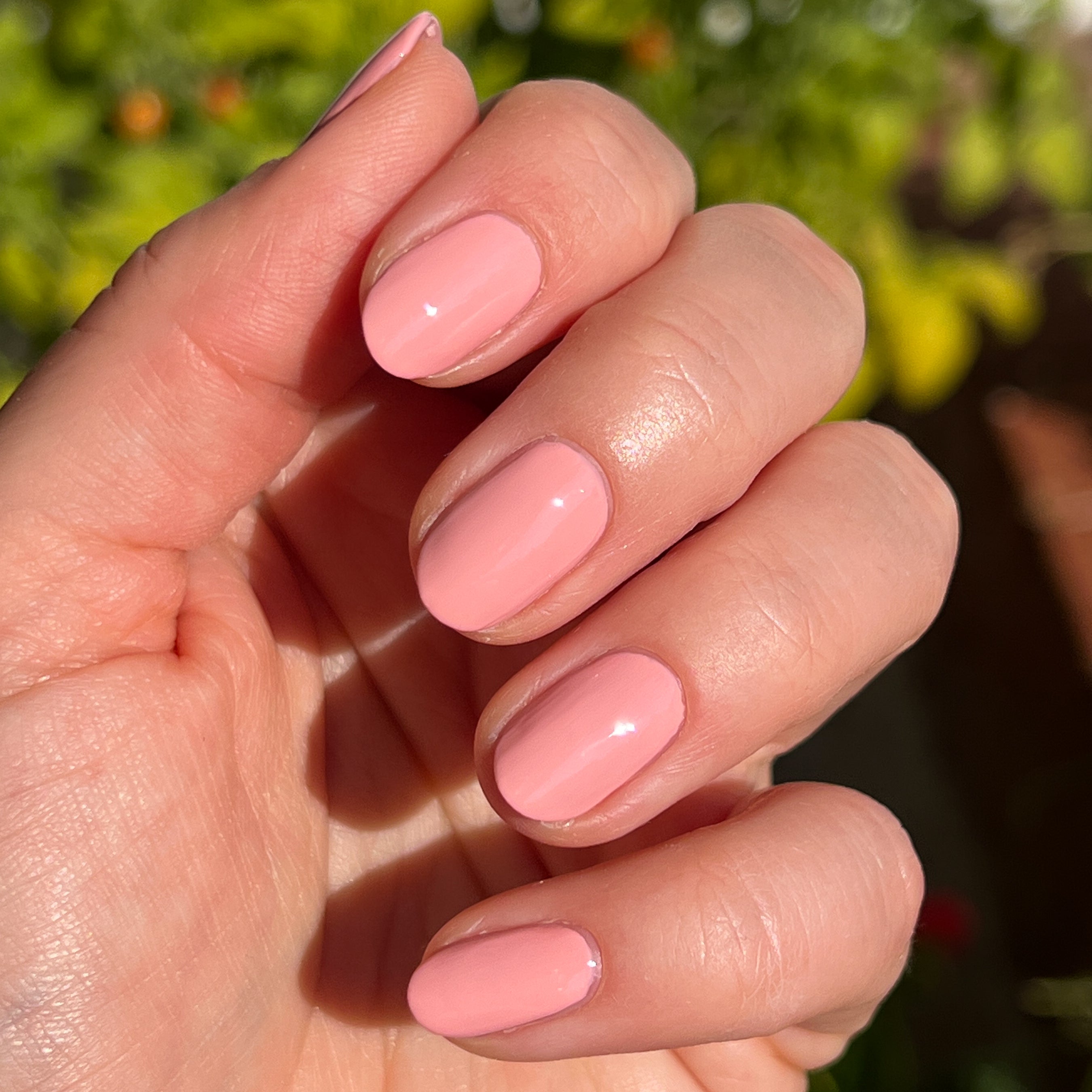 Nuance、mySite、solidvoid