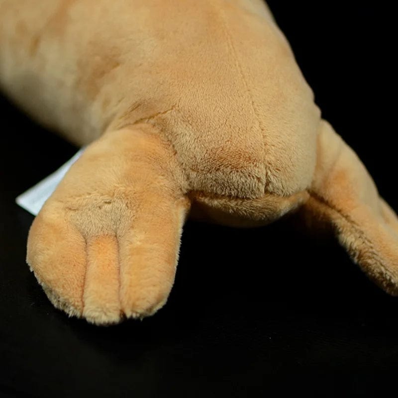 Plush Realistic Walrus with Mustache and Tusks!、mySite、g9winljtr