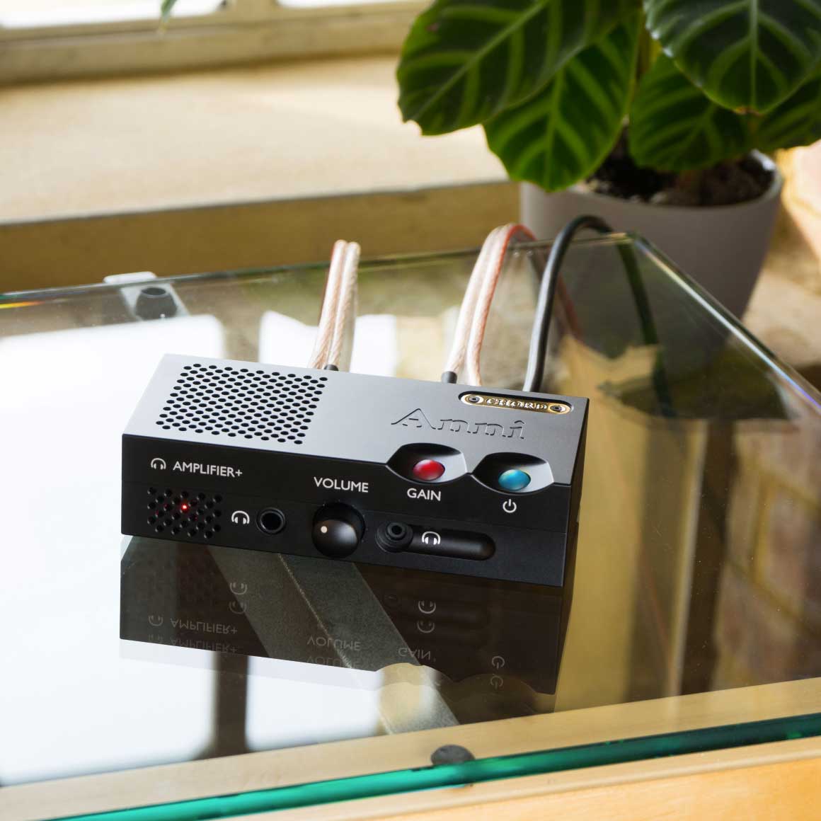  Chord - Anni、mySite、merchandisen