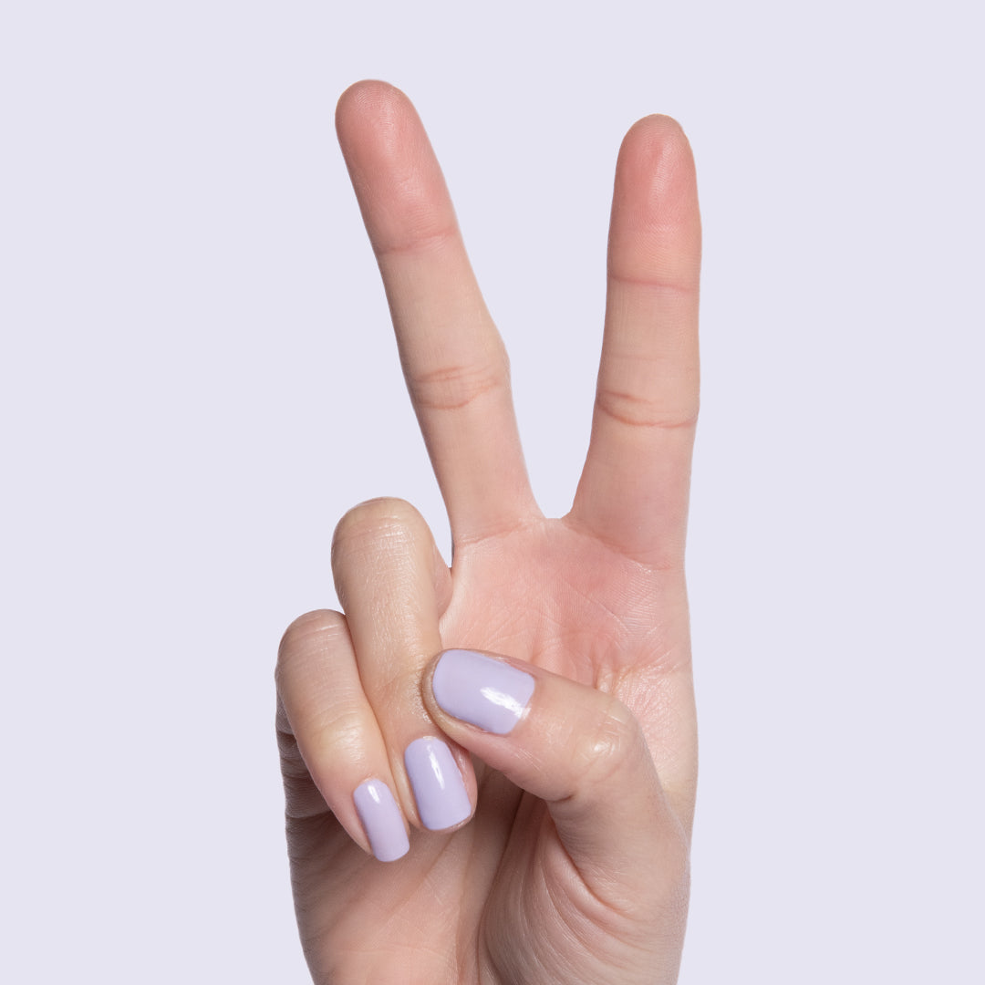 Jacaranda、mySite、solidvoid