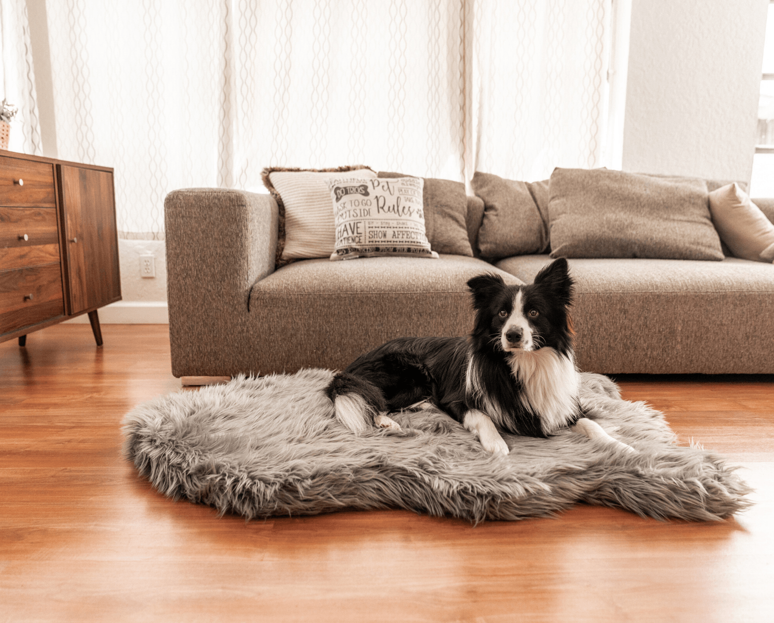 PupRug™ Faux Fur Orthopedic Dog Bed Cover - Charcoal Grey (Bed Not Included)、mySite、solidvoid