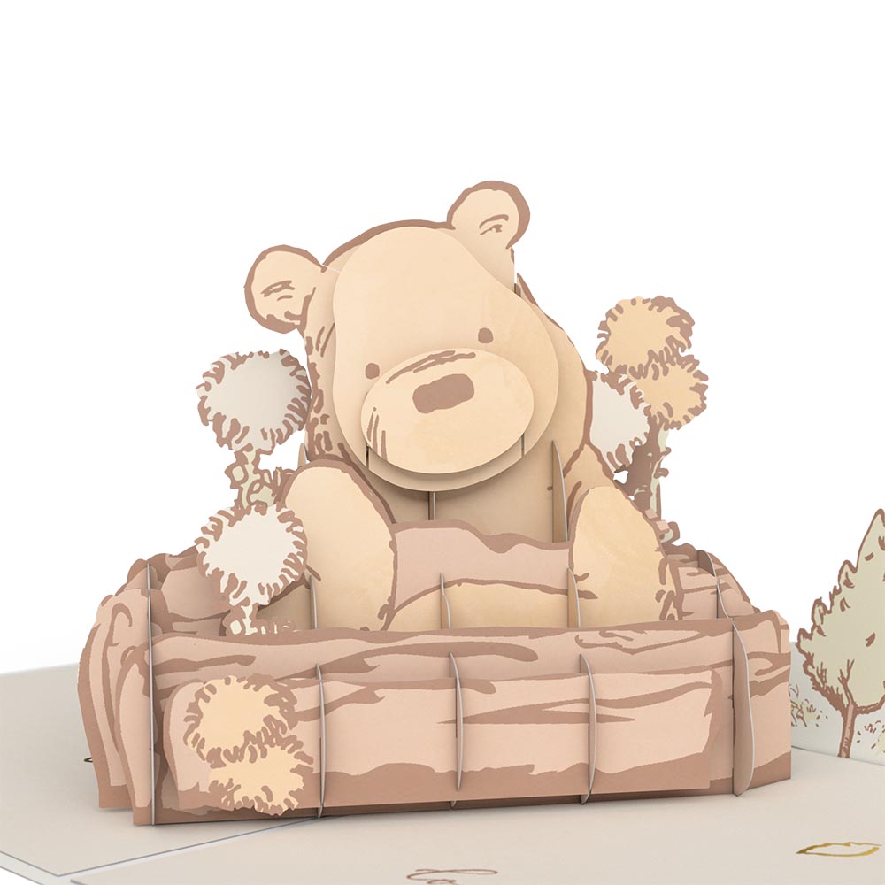Disney's Winnie the Pooh New Baby Pop-Up Card、mySite、solidvoid