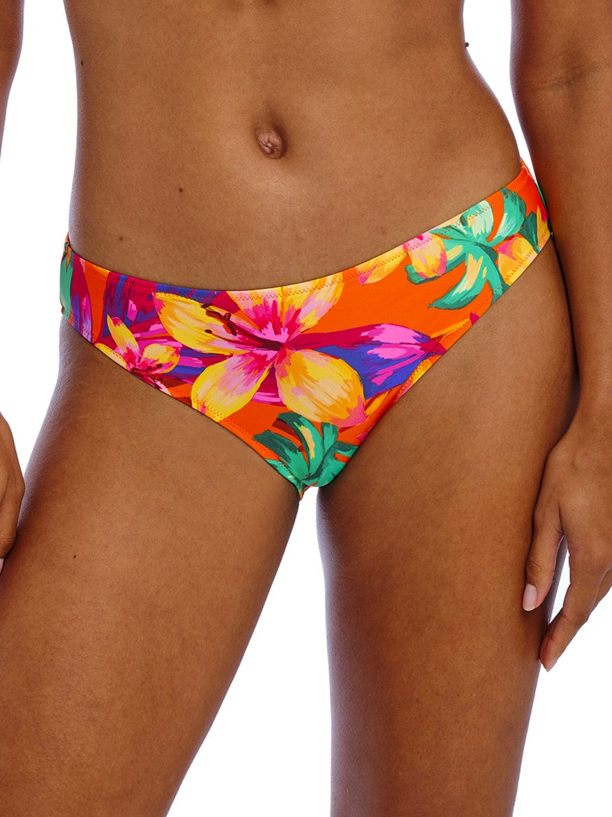  Sun haze brief、mySite、sugarbowlscore