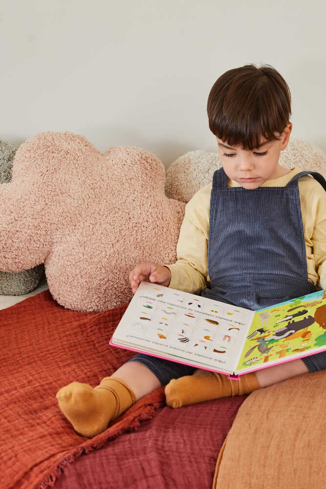 CUSHION CLOUD ROSE、mySite、gigharbornorthrealestate