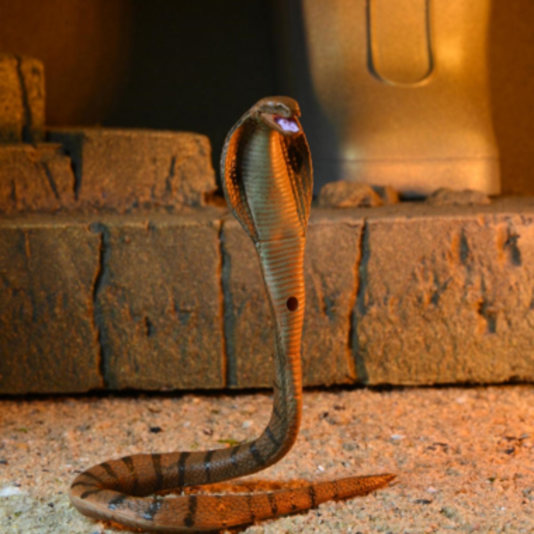 NECA Universal Monsters Teenage Mutant Ninja Turtles Michelangelo as The Mummy、mySite、hgirdovlk