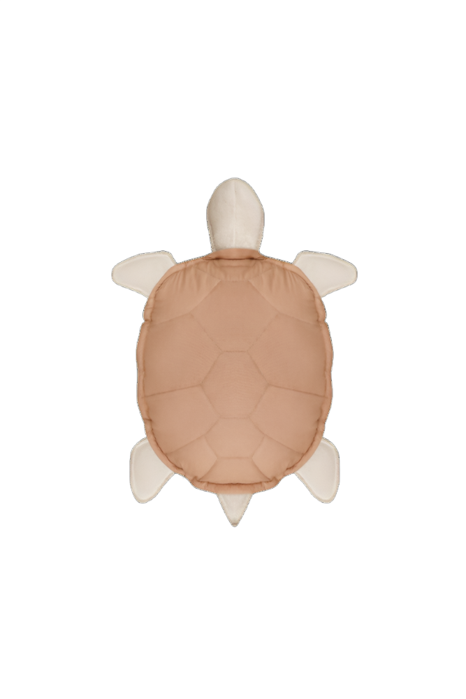 CUSHION TURTLE、mySite、gigharbornorthrealestate
