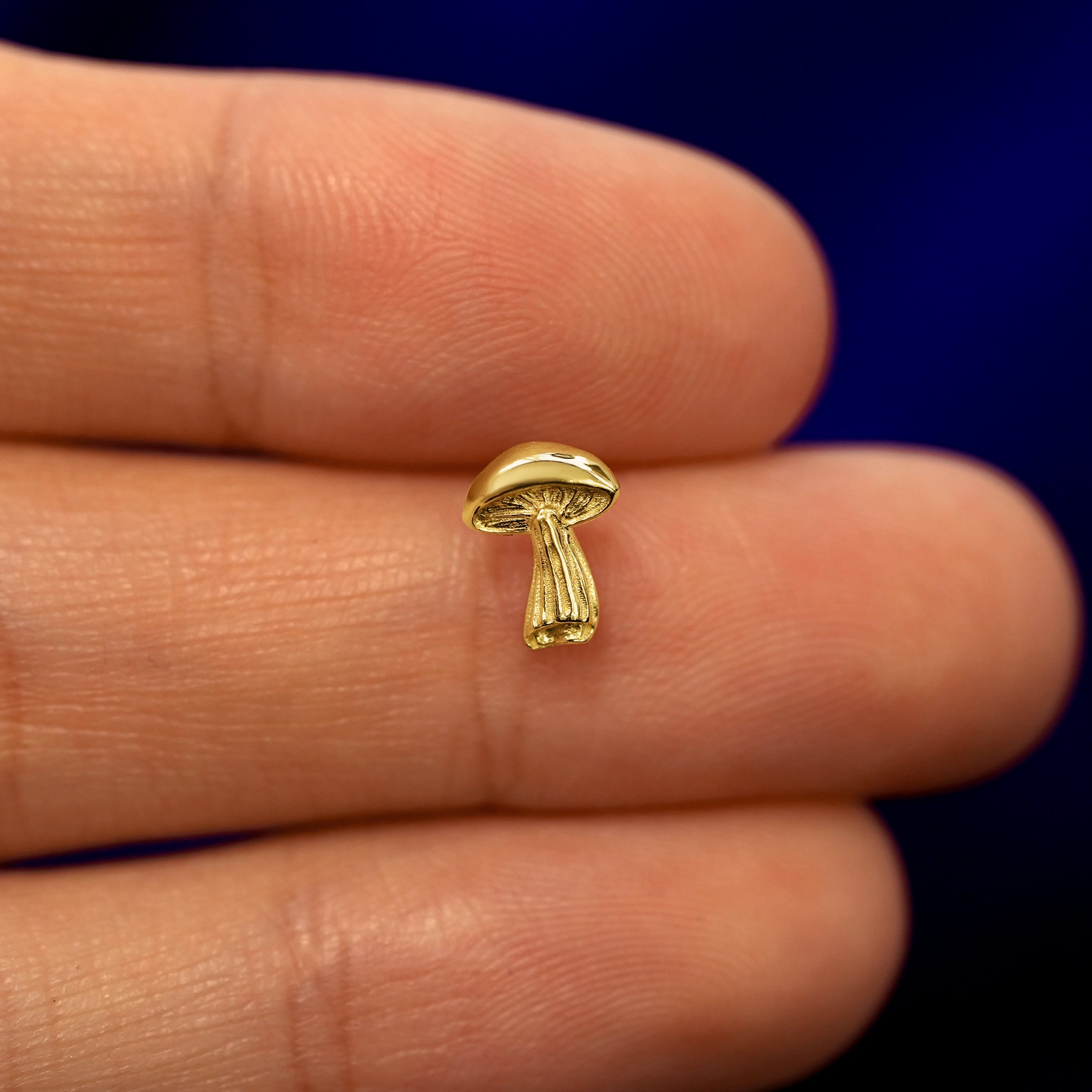 Mushroom Earring、mySite、hinf8tx79