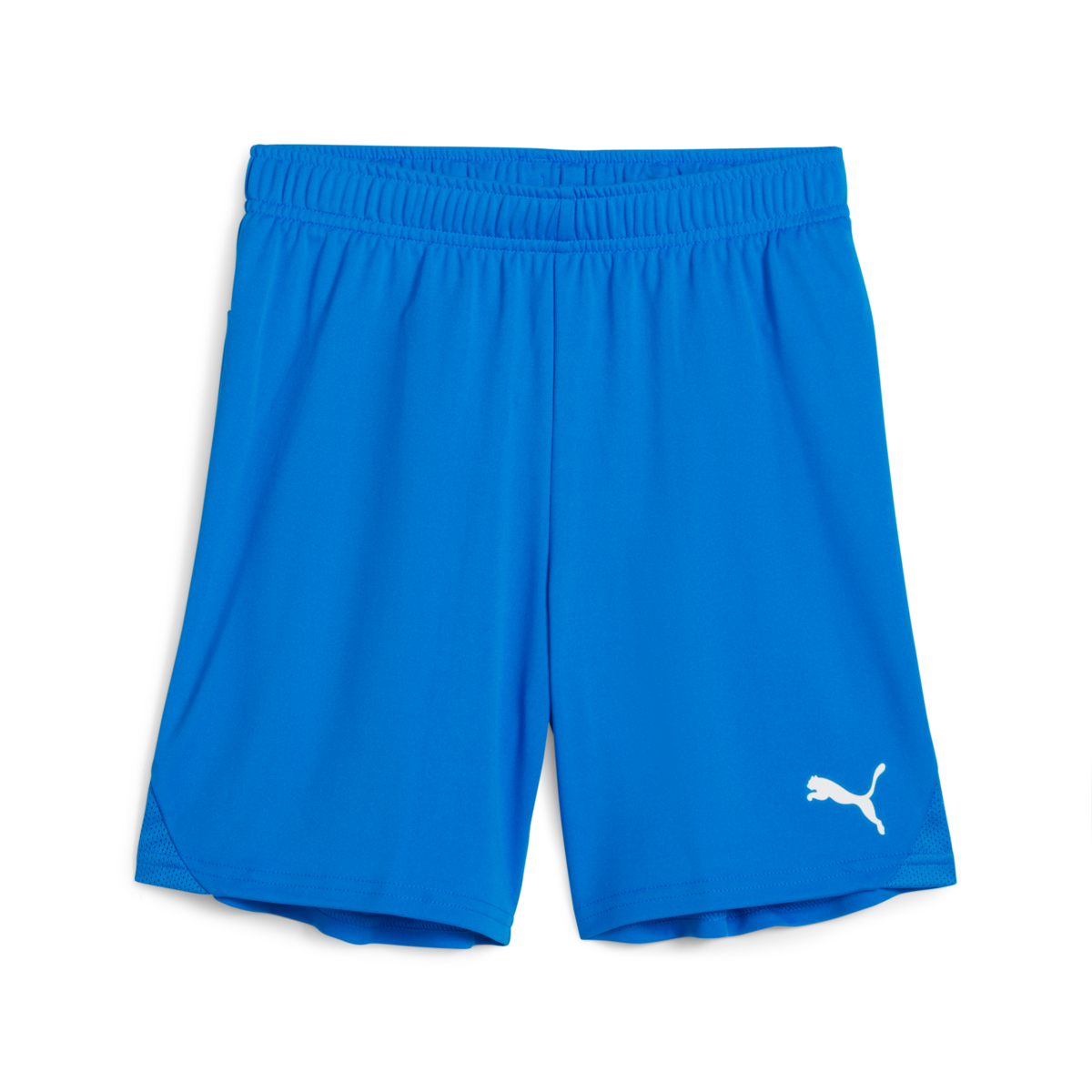 (PUMA-705753-02) Puma Youth Teamgoal Shorts - Royal Blue、mySite、noshort