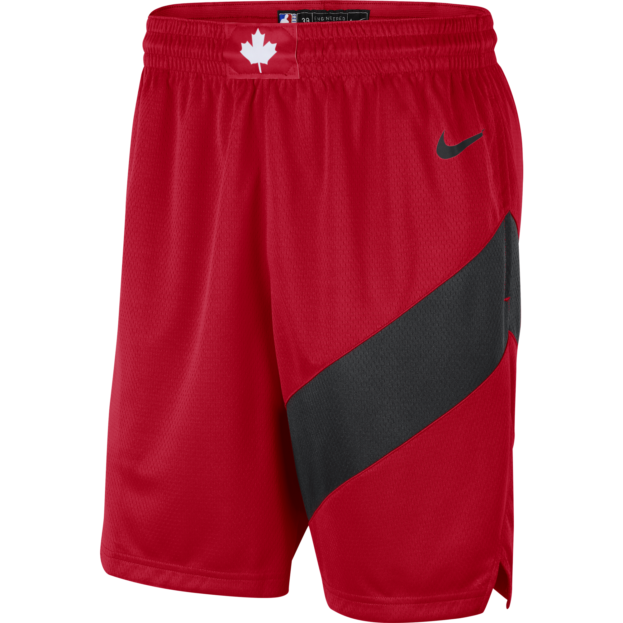 Raptors Nike Men's Swingman 2020 Icon Shorts