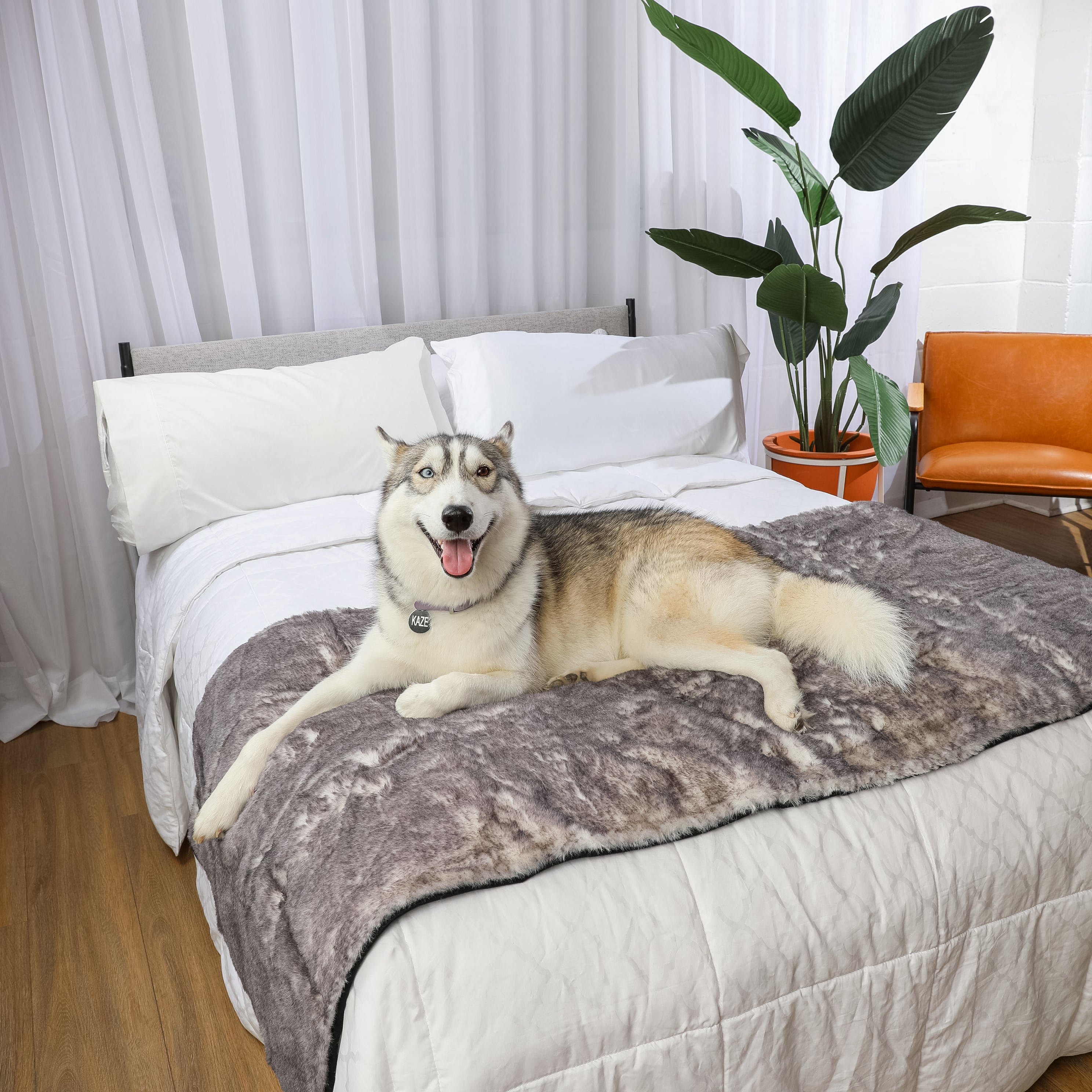 PupProtector™ Luxe Waterproof Bed Runner - Ultra Soft Chinchilla、mySite、solidvoid