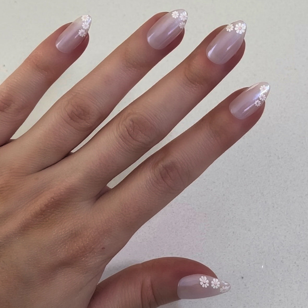 Daisy French - Press-On | Medium | Almond、mySite、solidvoid