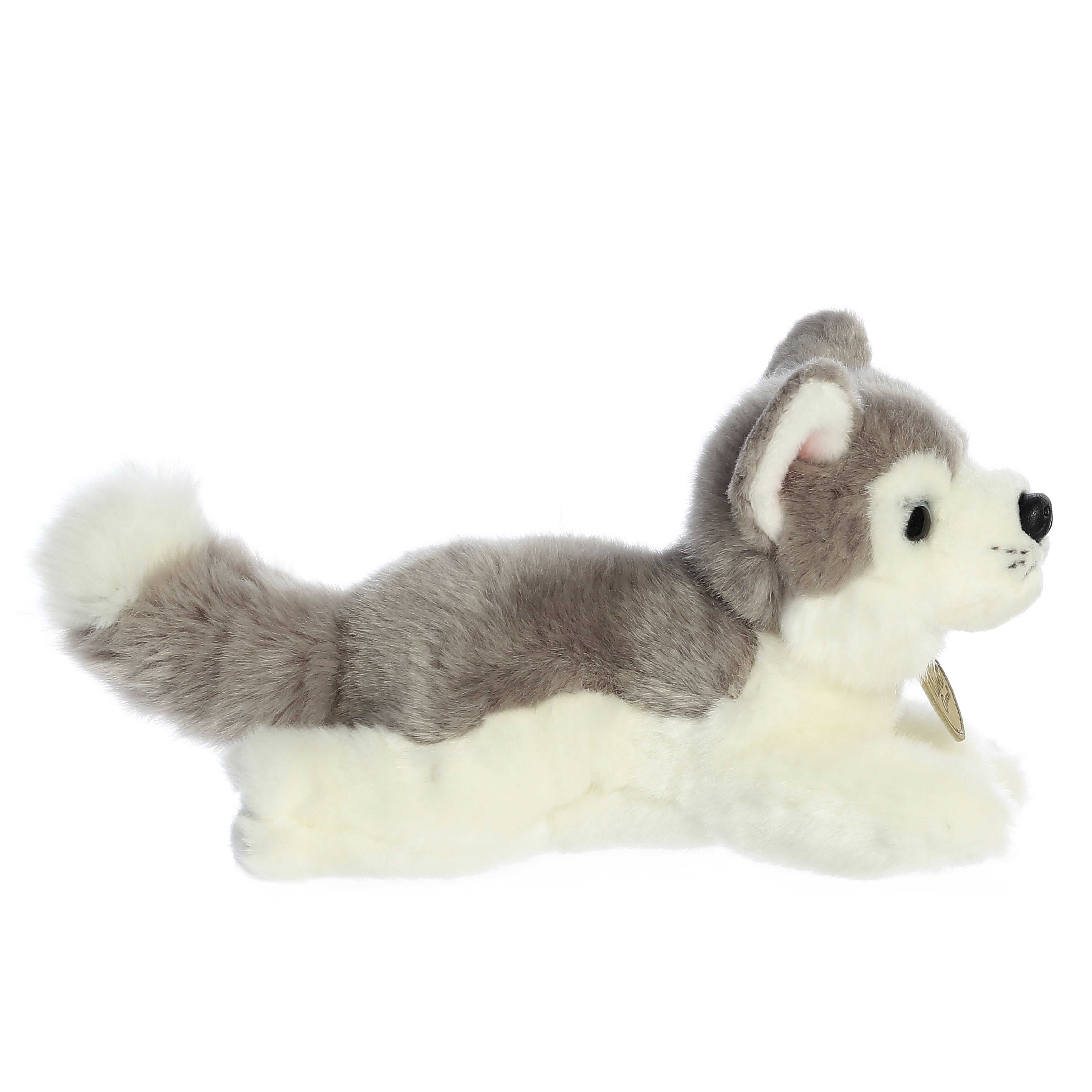 Aurora® - Miyoni® - 8 Husky、mySite、g9winljtr