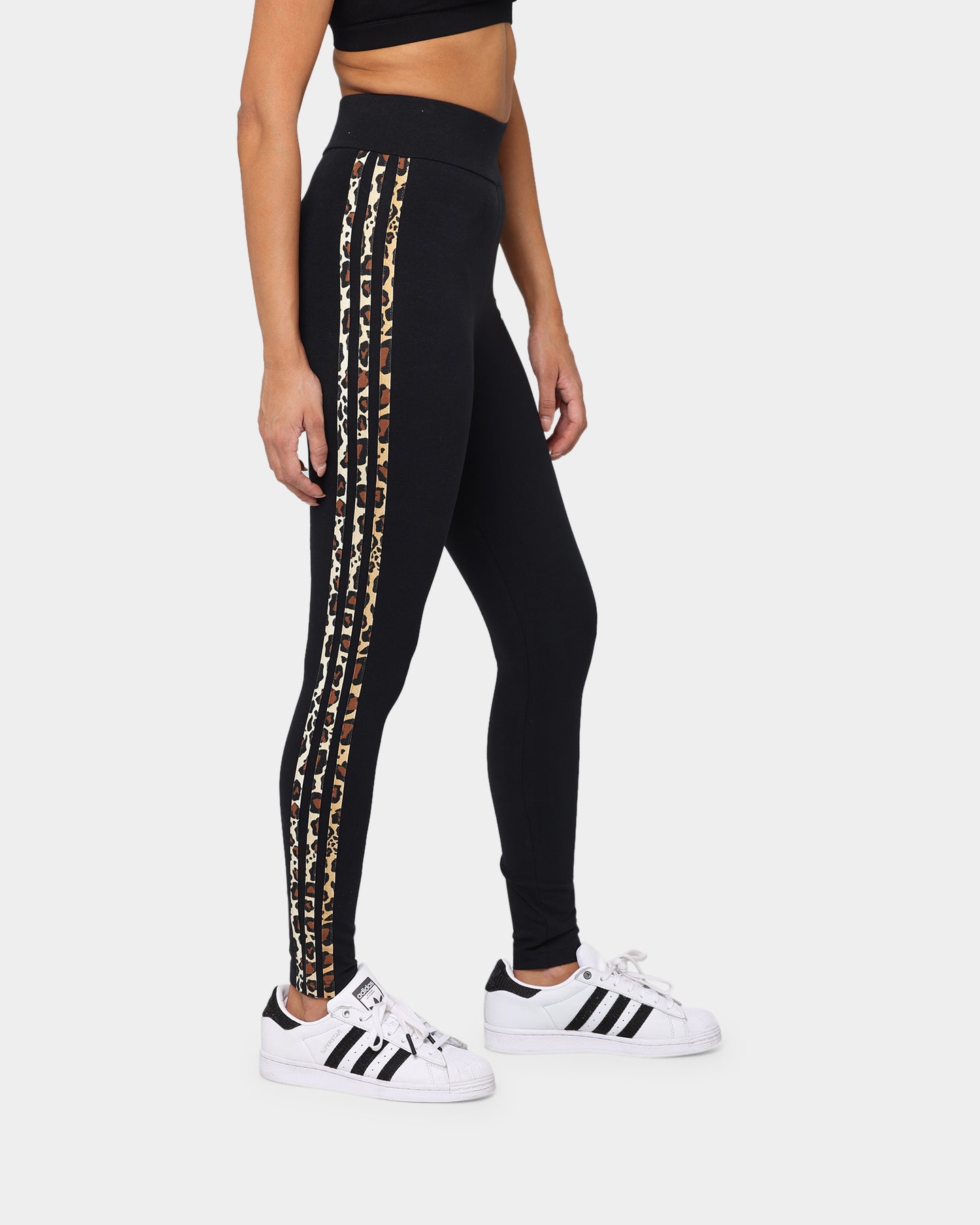 Adidas Womens Tights Black、mySite、zt4zffjzw