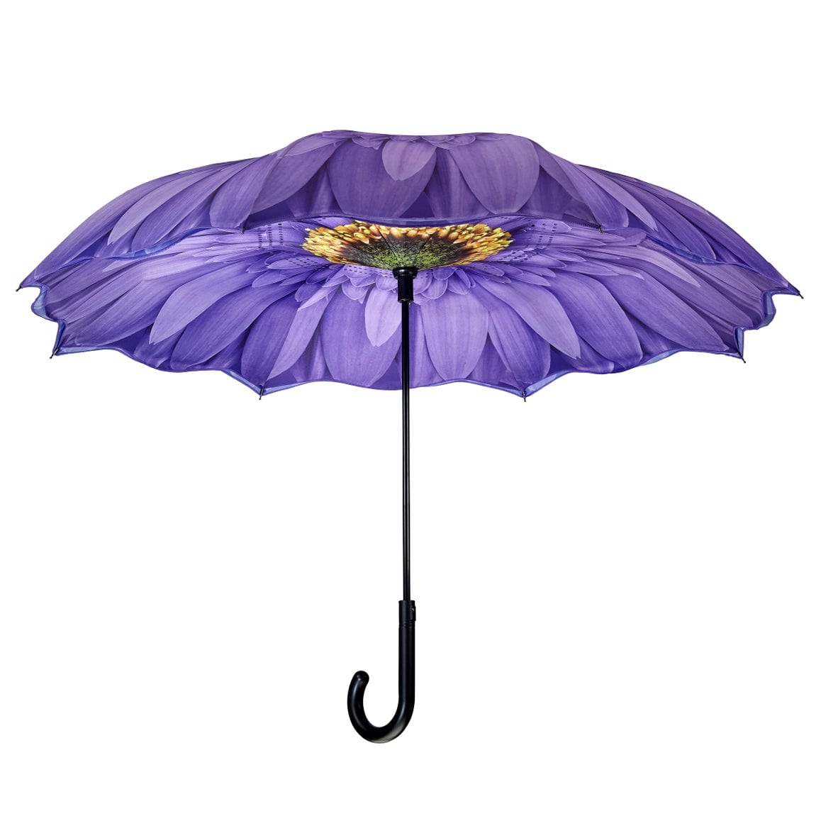 Purple Daisy Stick Umbrella Reverse Close、mySite、g9winljtr