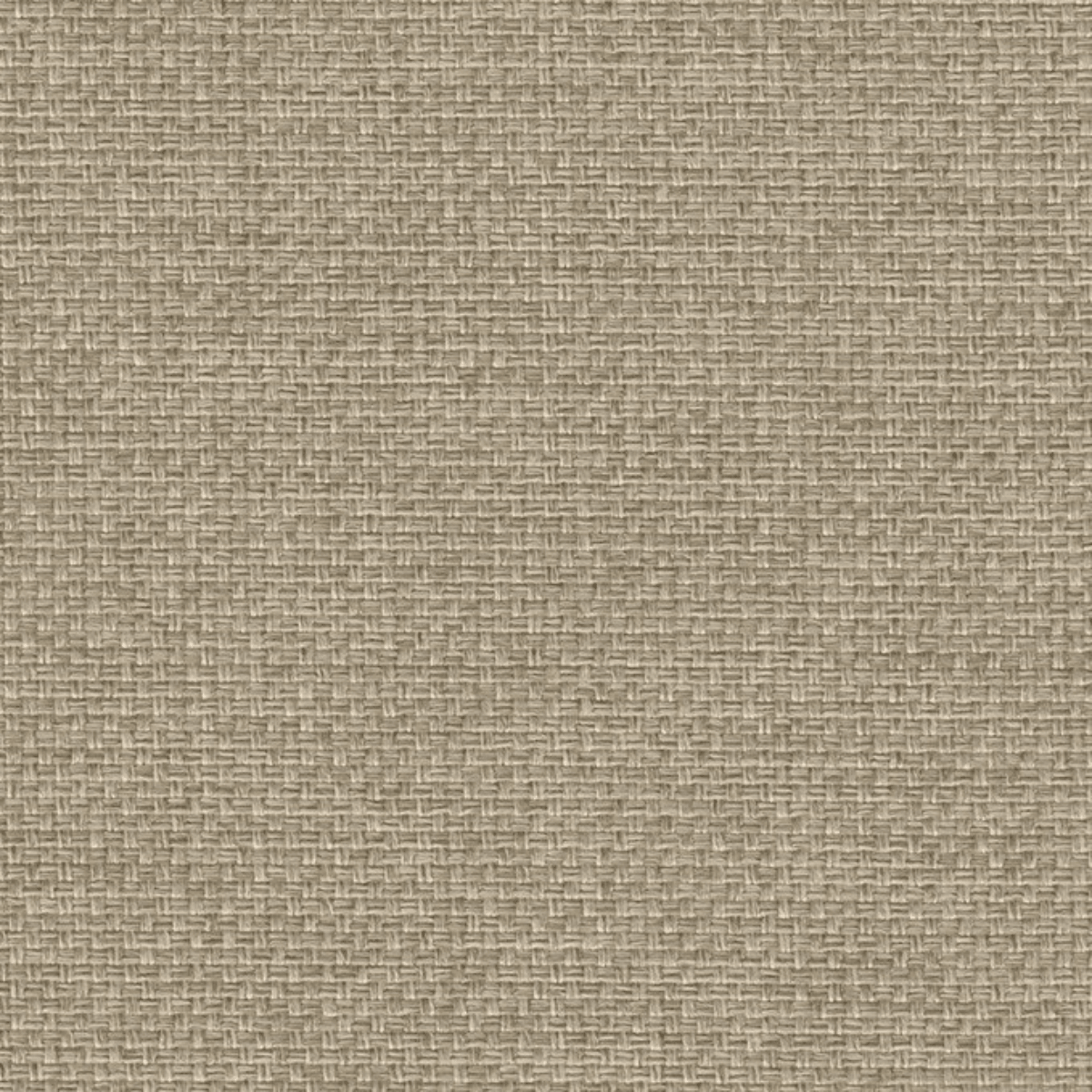 Grade B: Chess CH220、mySite、neckold