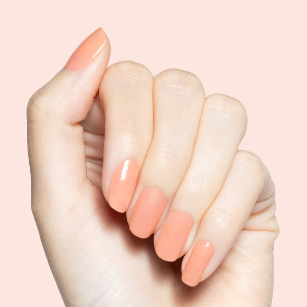 Peeptoe、mySite、solidvoid