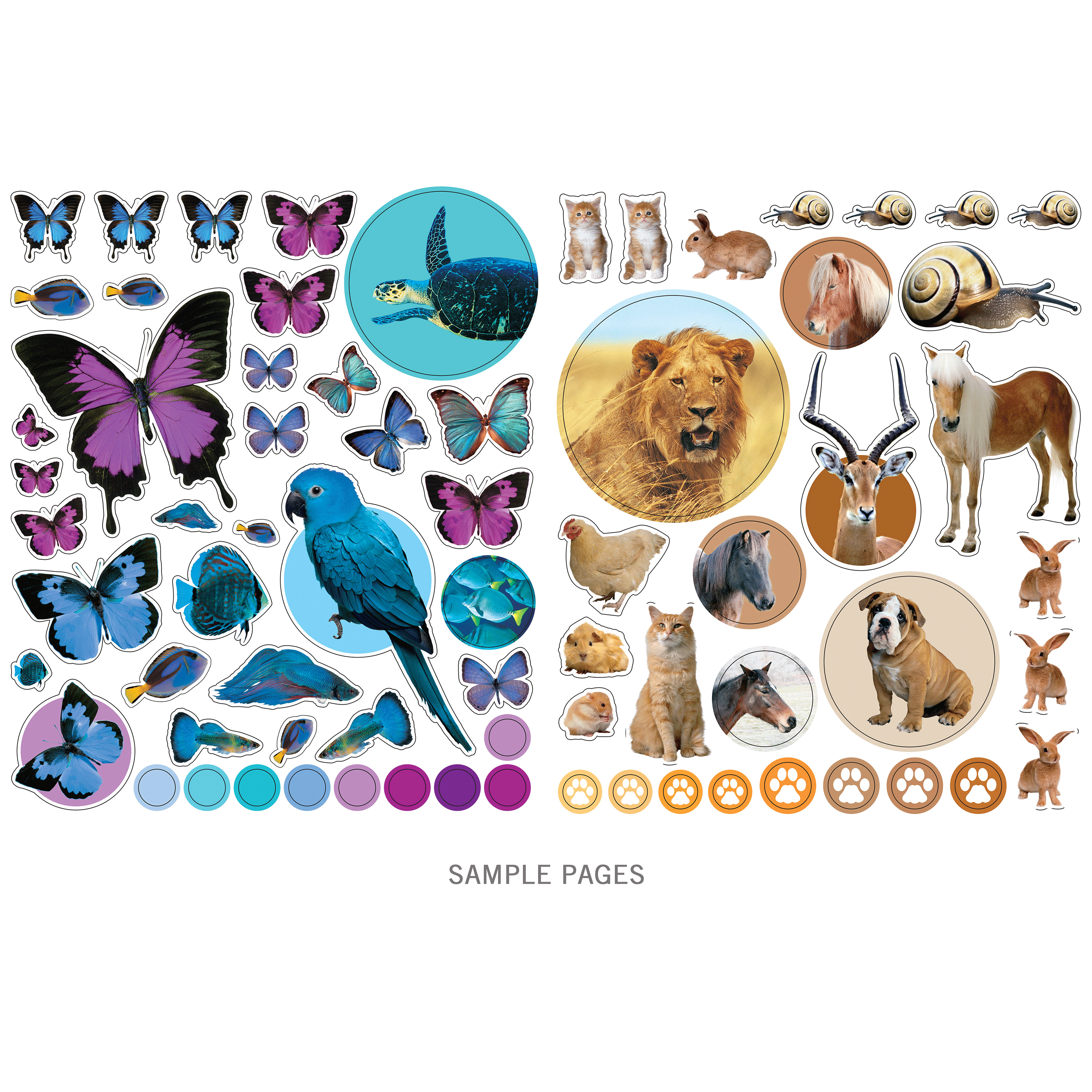  Animals Eyelike Sticker Activity Book、mySite、ghnorth