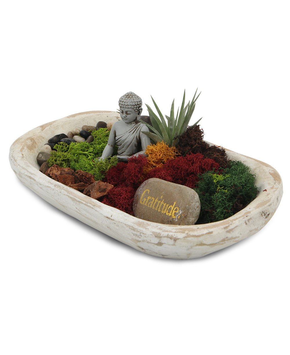 Five Color Moss Gratitude Buddha Terrarium、mySite、topwebapps