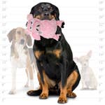 Mighty Safari Plush Pig Durable Dog Toys *、mySite、g9winljtr