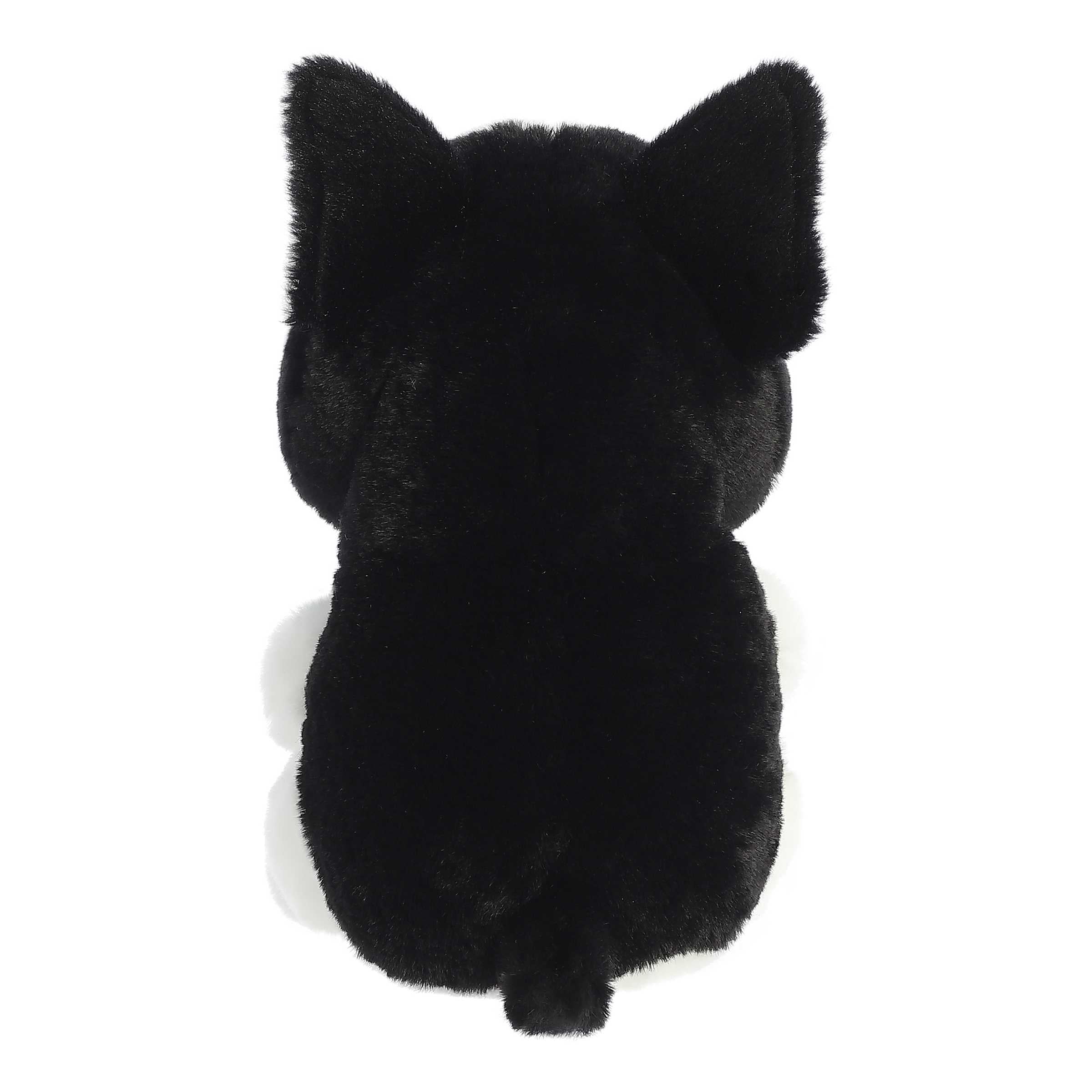 Aurora® - Boop™ - 9 Jackson™、mySite、g9winljtr