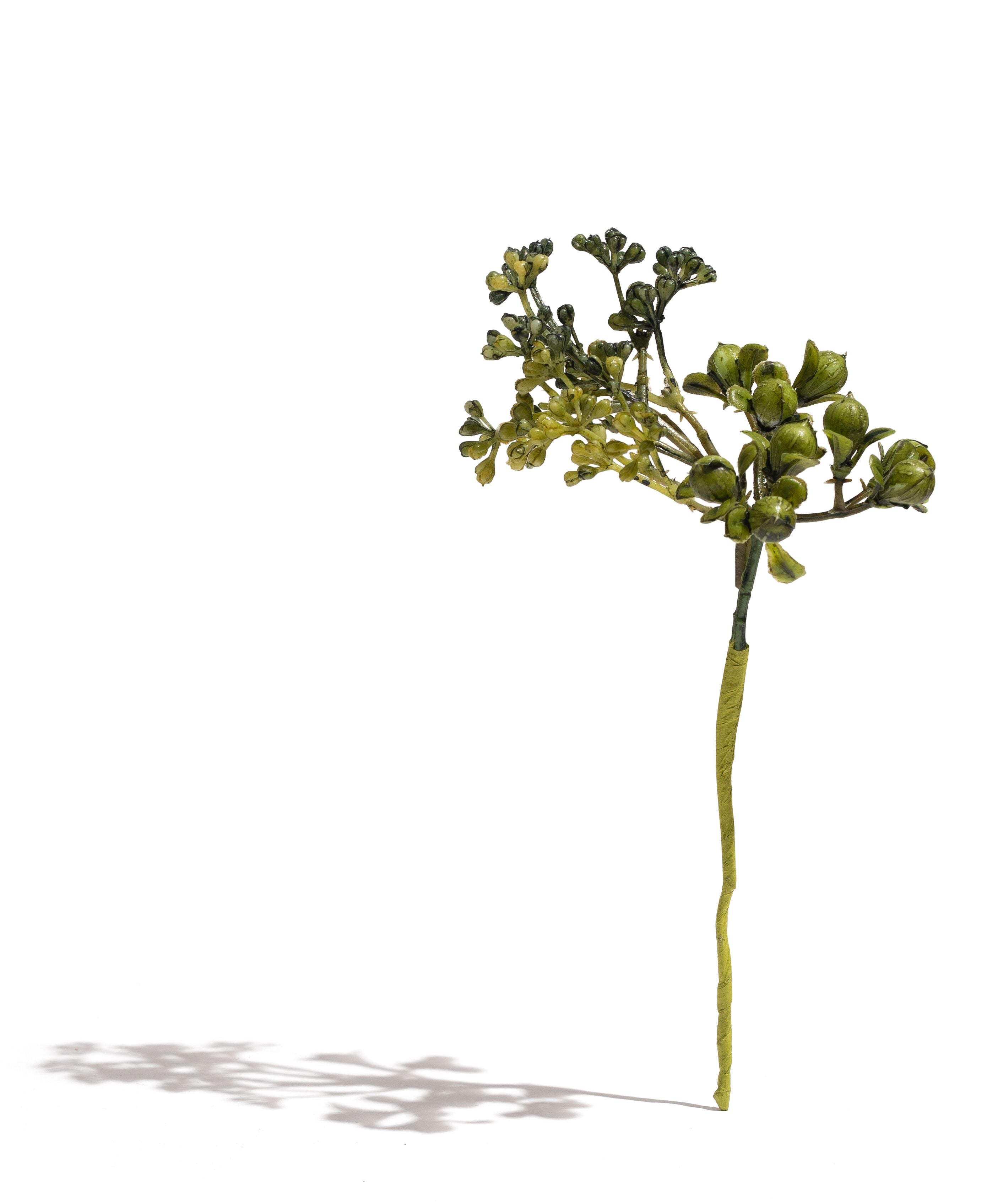  Green Bud Floral、mySite、elrpsem3k