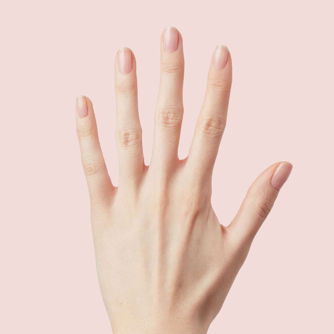 The Queen Takes her Tea with Milk、mySite、solidvoid