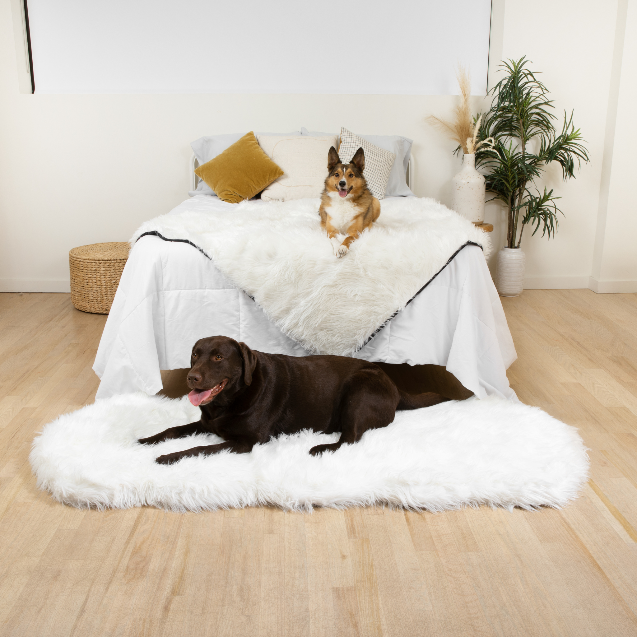 PupRug™ Orthopedic Runner Bed + Matching Waterproof Blanket Bundle - Polar White、mySite、solidvoid