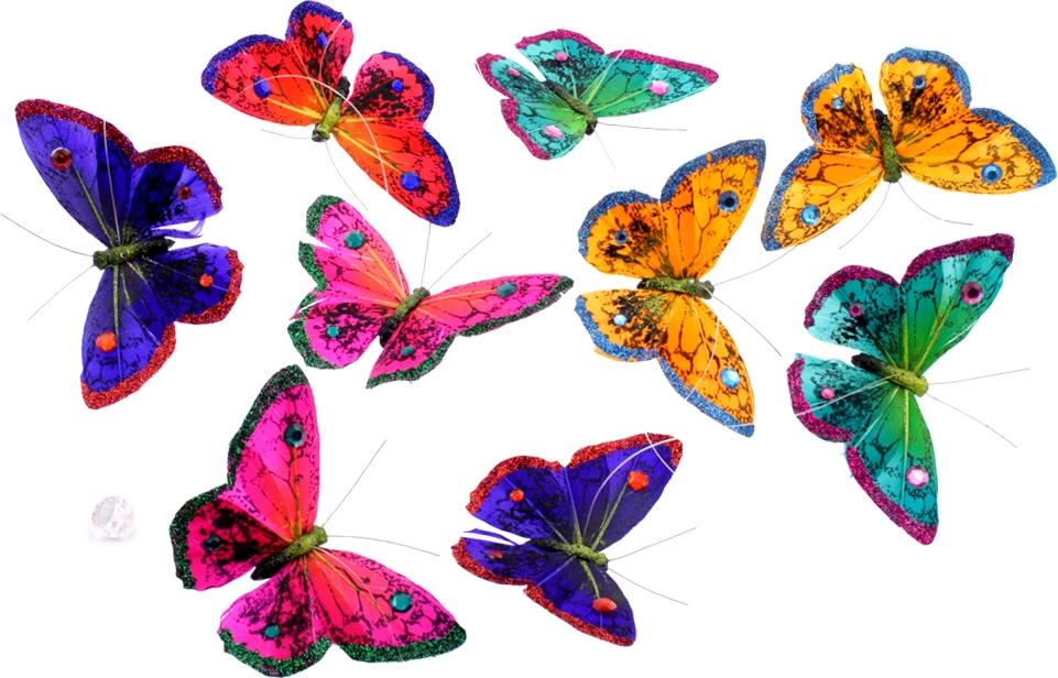 Butterfly Garland、mySite、g9winljtr