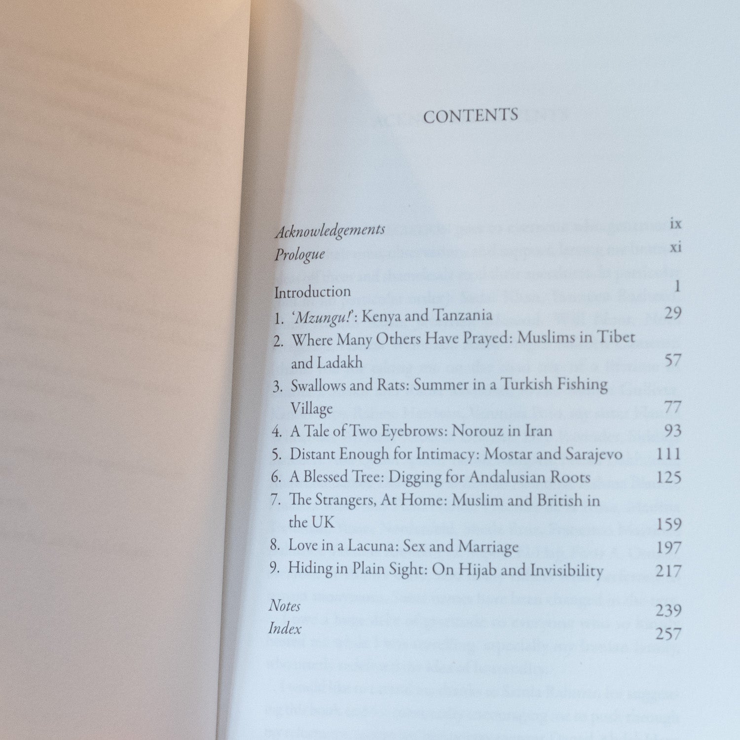 Invisible Muslim: Journeys Through Whiteness and Islam、mySite、topwebapps