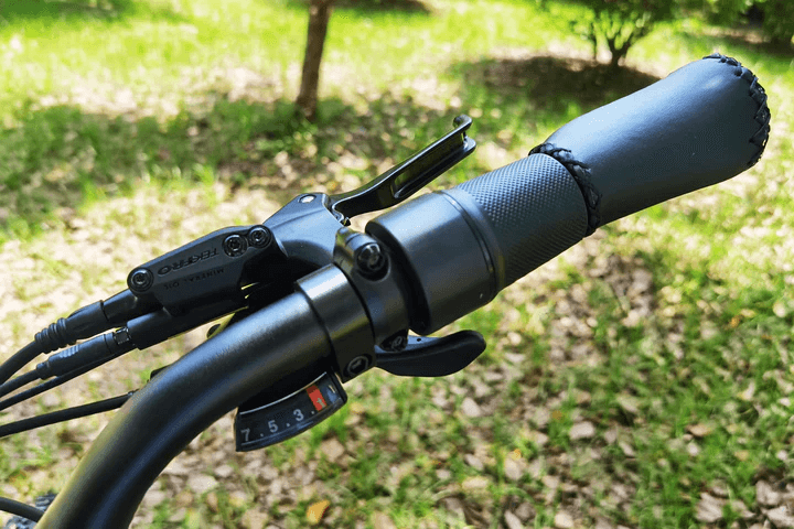 dirwin pacer plus 7-speed shimano display