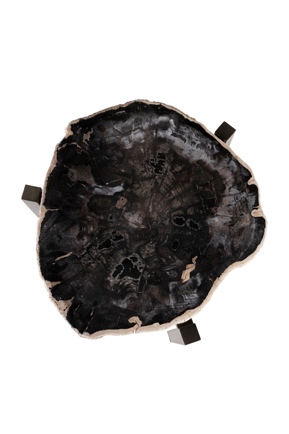 Petrified Wood Occasional Table | Versmissen、mySite、neckold