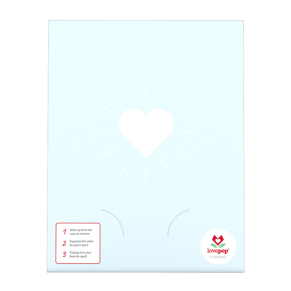 Congrats Bouquet、mySite、solidvoid