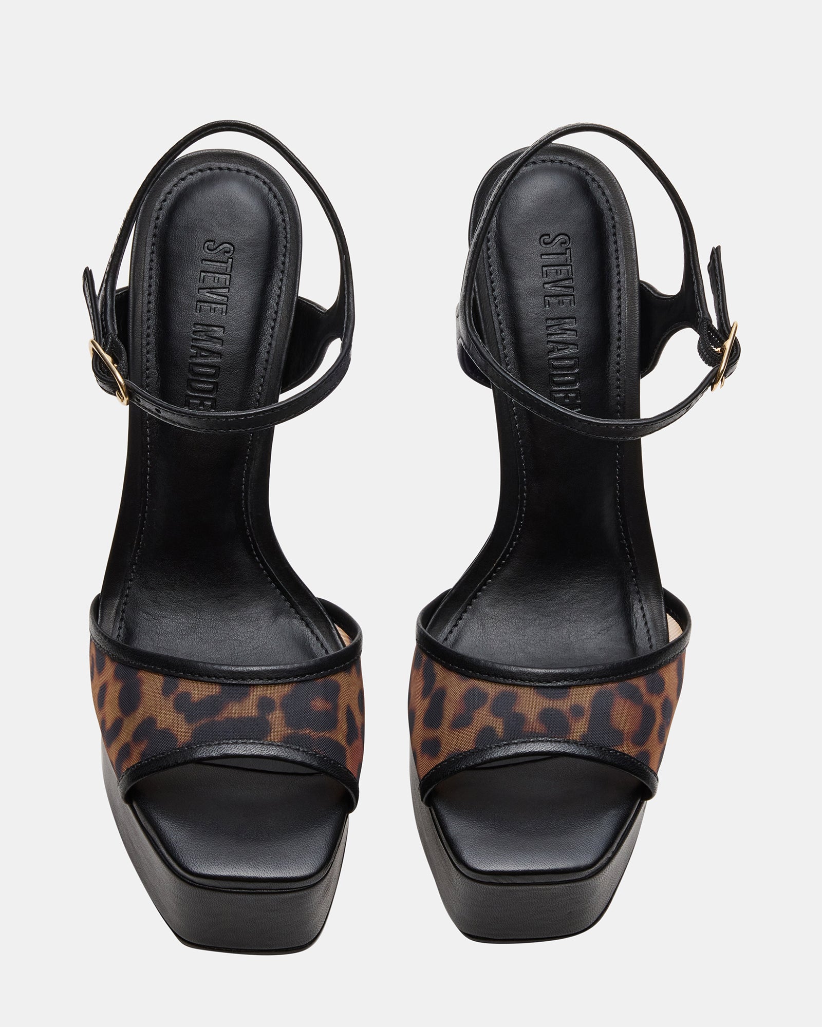 COLOGNE LEOPARD MULTI、mySite、gtrtttuynbv