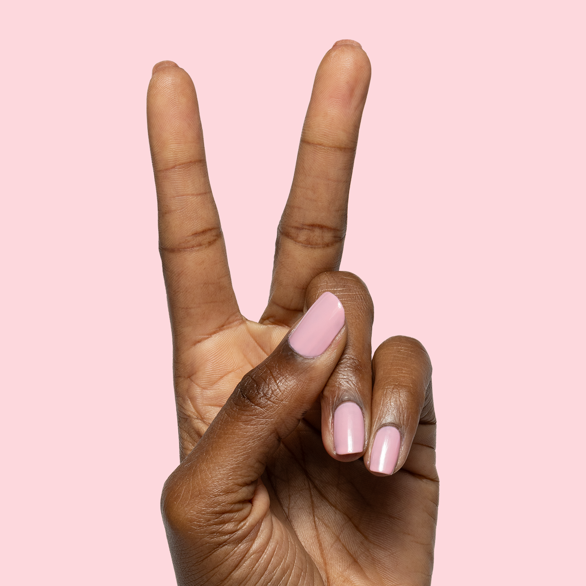 Saltwater Taffy、mySite、solidvoid