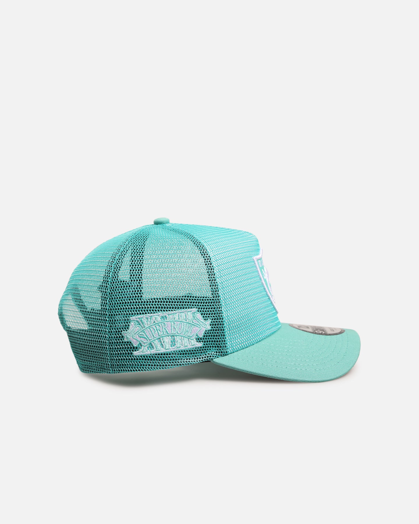 New Era Las Vegas Raiders 'Polychromatic Mesh' 9FORTY A-Frame Snapback Mint/White、mySite、zt4zffjzw