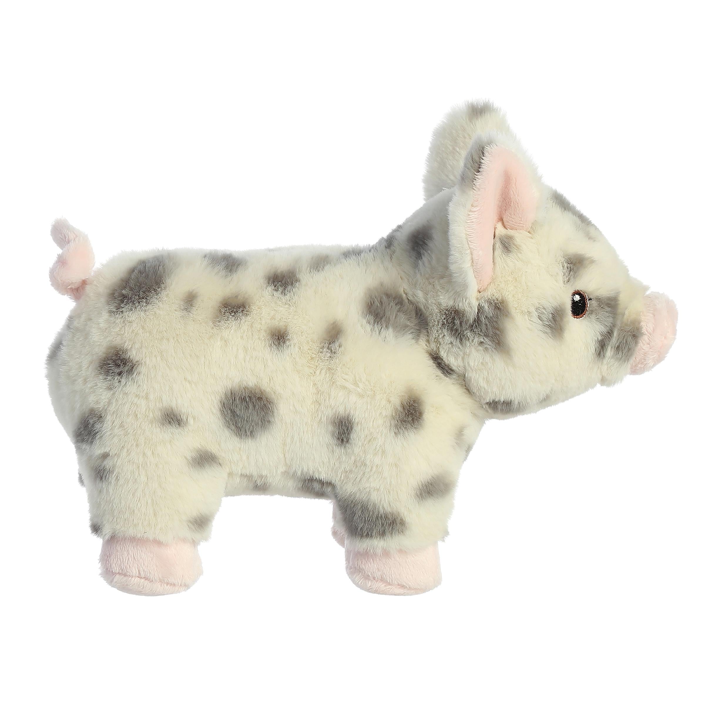 Aurora® - Eco Nation™ - 9.5 Spotted Pig、mySite、g9winljtr