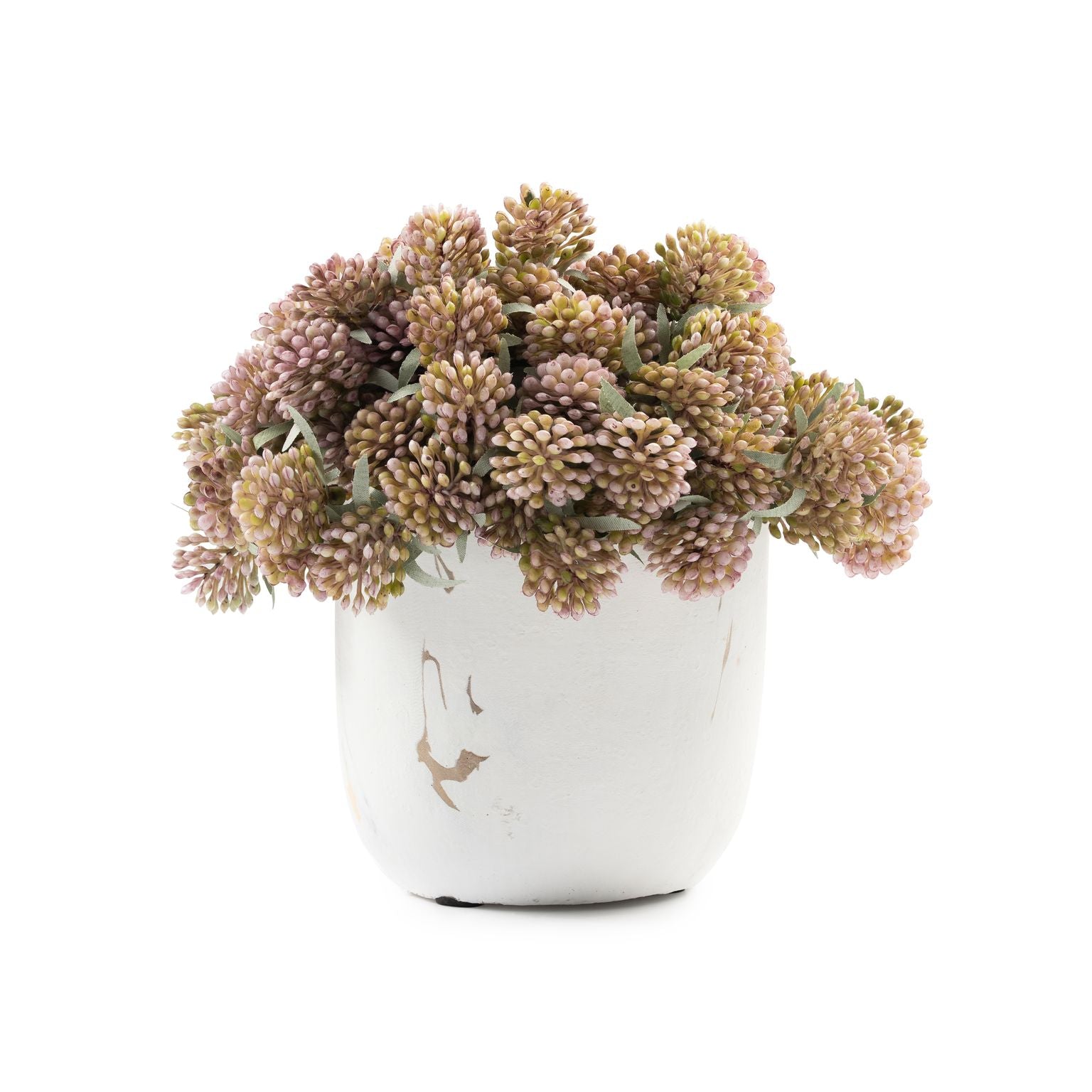  DH Marble Berry Floral、mySite、elrpsem3k