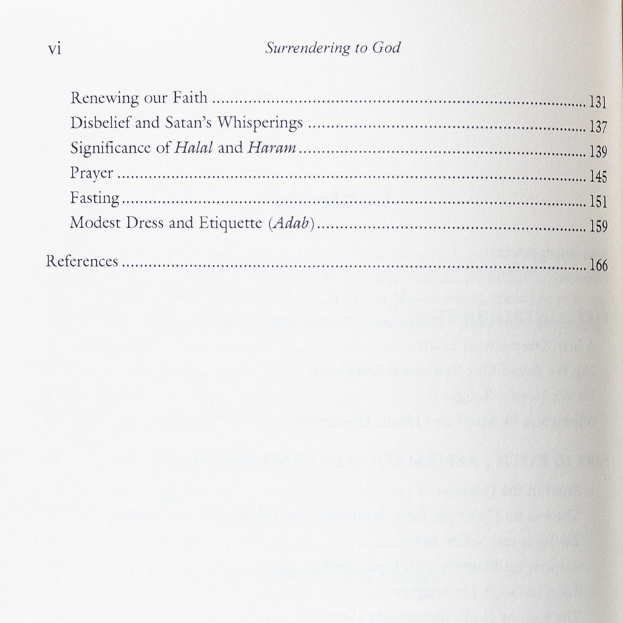 Surrendering to God: Understanding Islam in the Modern Age、mySite、topwebapps