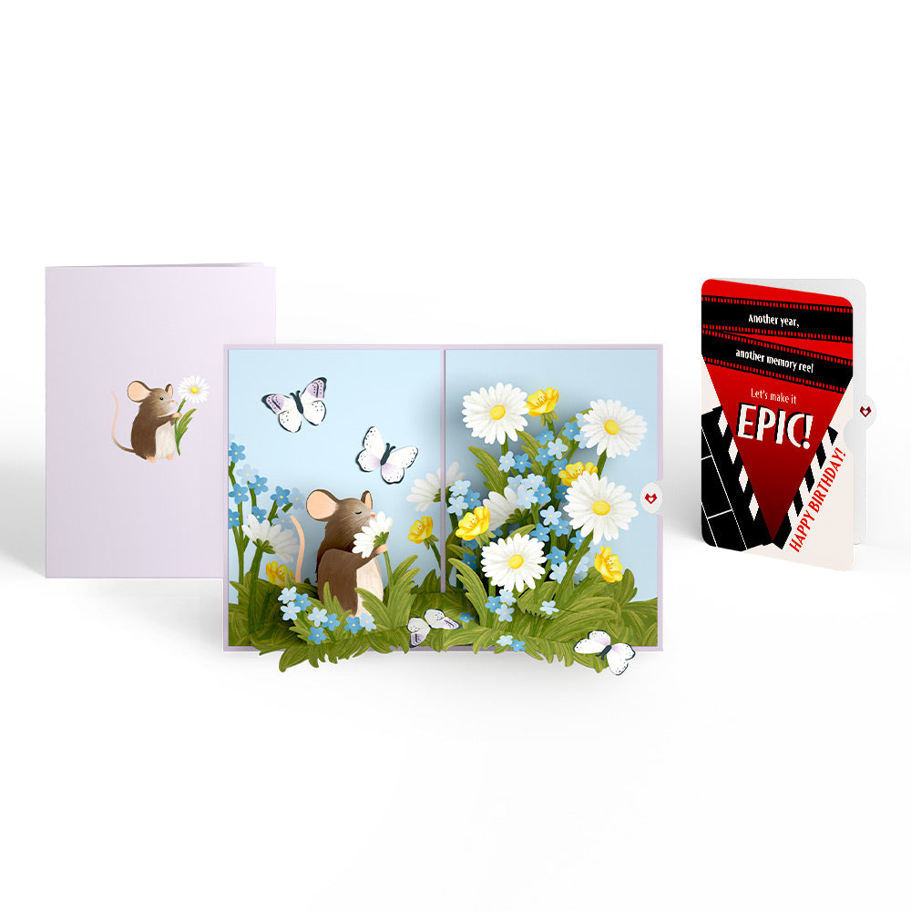Field Mouse in the Flowers Birthday Pop-Up Card and Epic Reel Sentiment Set、mySite、solidvoid