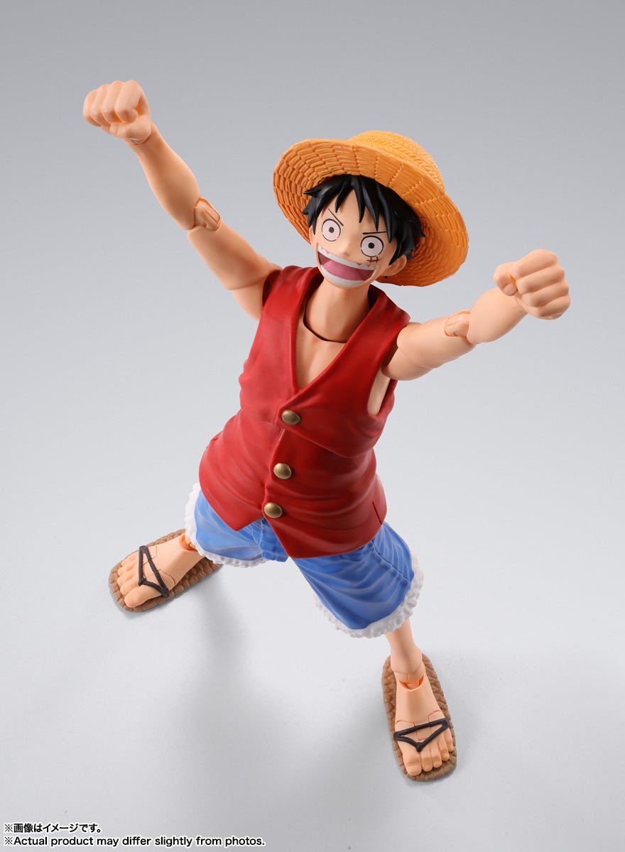 S.H. Figuarts One Piece Monkey D. Luffy (Romance Dawn)、mySite、hgirdovlk