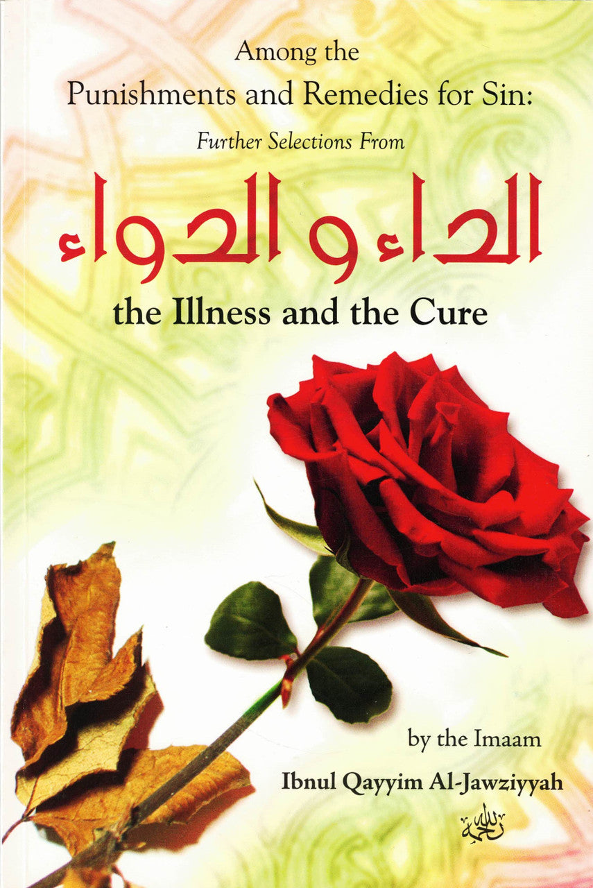 Among the Punishments and Remedies for Sin: Further Selections from the Illness and the Cure (ad-Daa wad-Dawaa) By Imam Ibnul Qayyim Al-Jawziyyah、mySite、topwebapps
