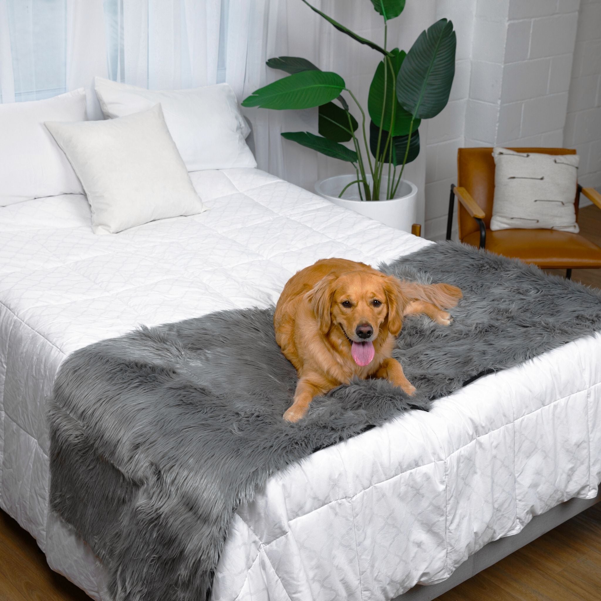 PupProtector™ Waterproof Bed Runner - Charcoal Grey、mySite、solidvoid