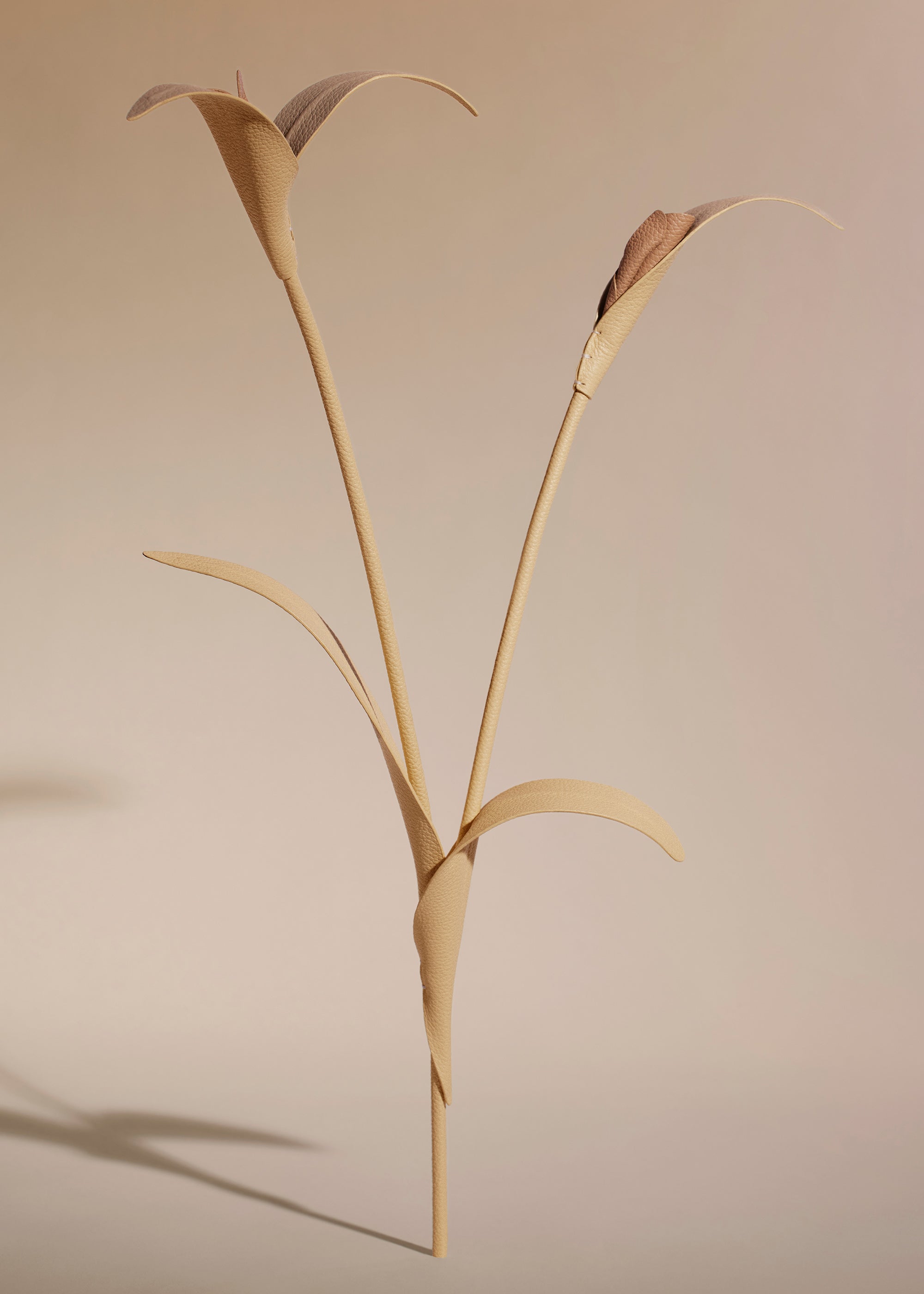 Fleur Touka - Trio Bl茅 Grain茅、mySite、camillekostekn